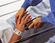 Zebra Wristbands,Zebra Wrist Bands,Wristbands,Wrist Bands